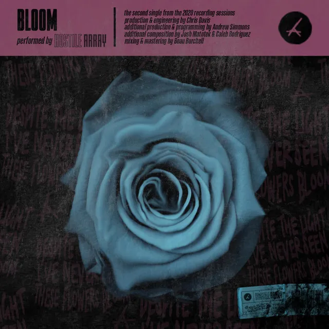 Bloom