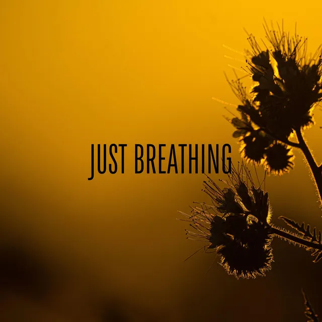 Just Breathing