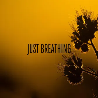 Just Breathing by Lennie Rhoads