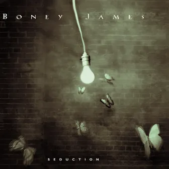 Seduction by Boney James