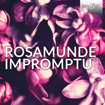 Rosamunde Impromptu by Pieter Van Winkel