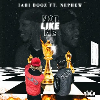 Not Like Me by IAHI Booz