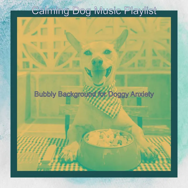 Bubbly Background for Doggy Anxiety