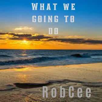 What We Going to Do by Robcee