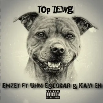 Top Dawg by Emzet