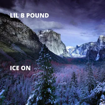 Ice On by Lil B Pound