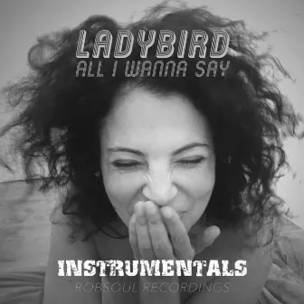 All I Wanna Say (Instrumentals) by Ladybird