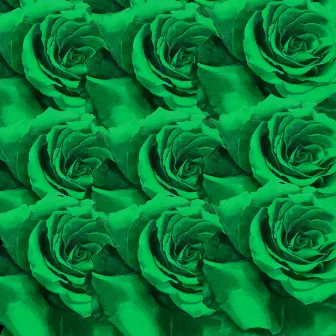 GREEN ROSES FREESTYLE by SAMSON