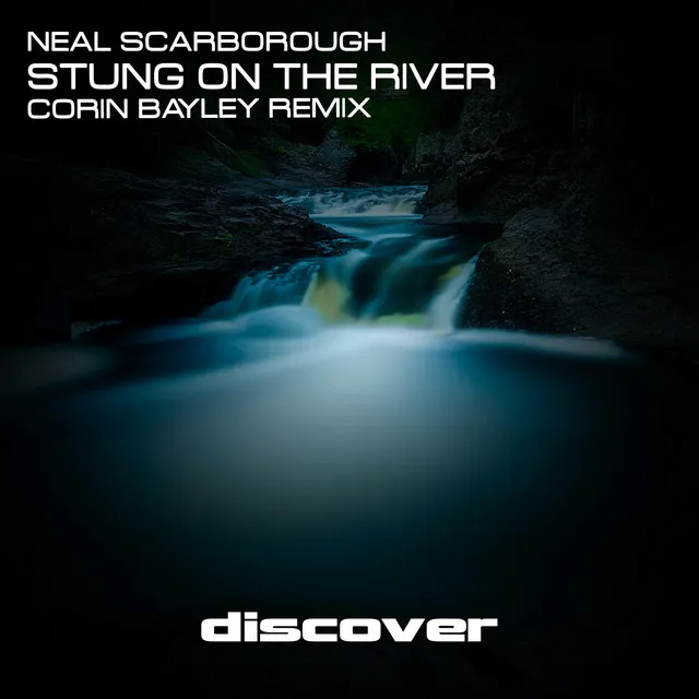 Stung on the River - Corin Bayley Remix