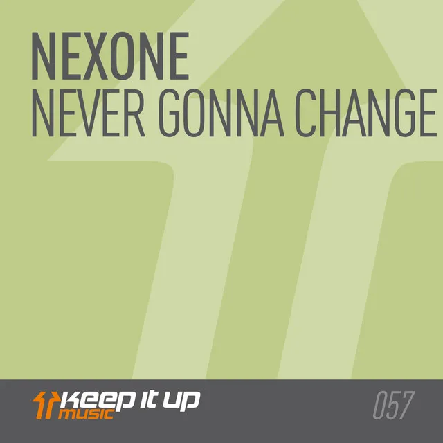 Never Gonna Change - Original mix