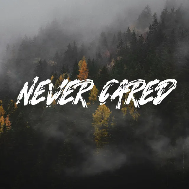 Never Cared