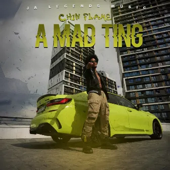 A Mad Ting by Chin Flame