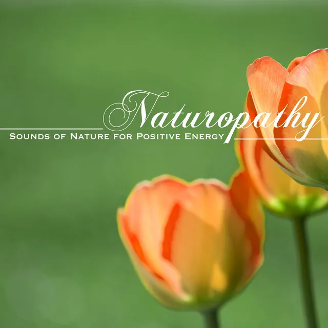 Naturopathy - Sounds of Nature for Positive Energy, Mind Body Connection