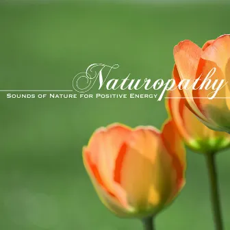 Naturopathy - Sounds of Nature for Positive Energy, Mind Body Connection by Unknown Artist