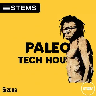 Paleo by Siedos