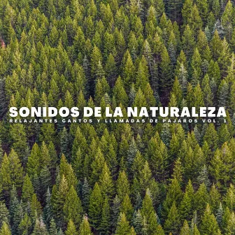 Sonidos De La Naturaleza: Relajantes Cantos Y Llamadas De Pájaros Vol. 1 by Coleccionistas de sonidos de pájaros