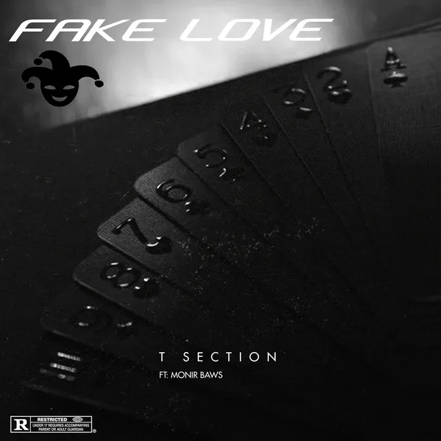 Fake Love (feat. Monir Baws)