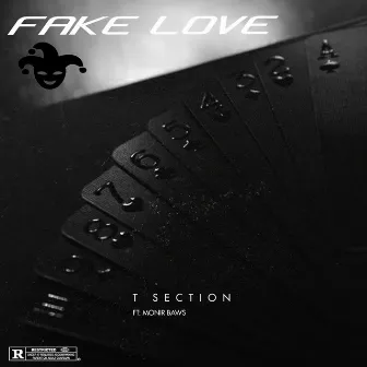 Fake Love (feat. Monir Baws) by T Section