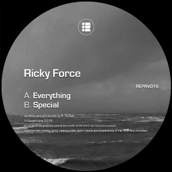 Everything / Special by Ricky Force