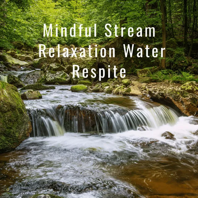 Mindful Stream Zenith