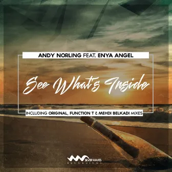 See What's Inside by Enya Angel