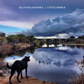 Little World by Allyson Seconds