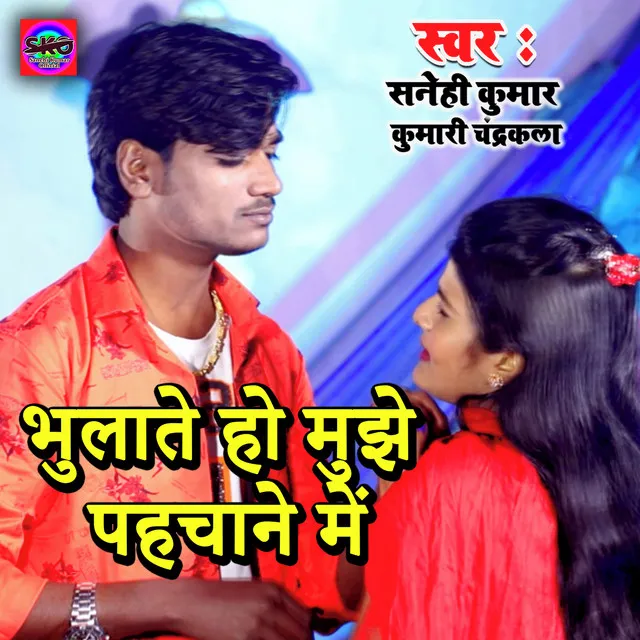 Bhulate Ho Mujhe Pahchane Mein (Bhojpuri song)