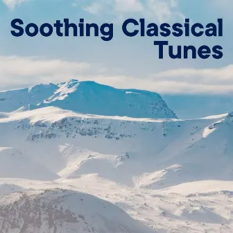 Soothing Classical Tunes Vol. 1 by 