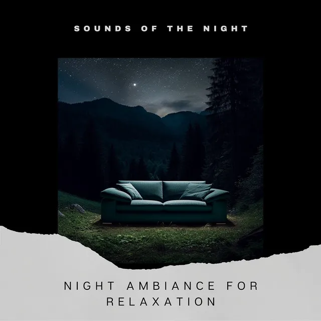 Night Ambiance for Relaxation