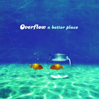 A Better Place by Overflow