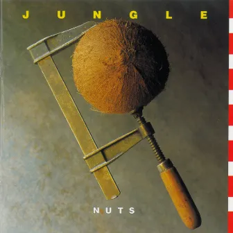 Nuts by JUNGLE