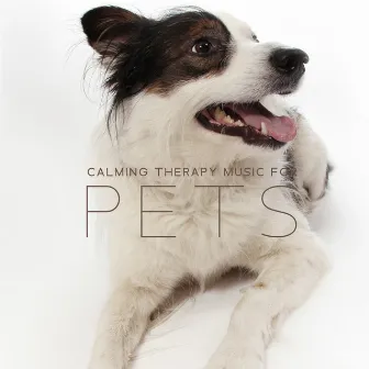 Music Therapy for Pets. Antistress, Anxiousness, Insomnia, Gentle Sounds for Puppies by Natural Soothing Melodies