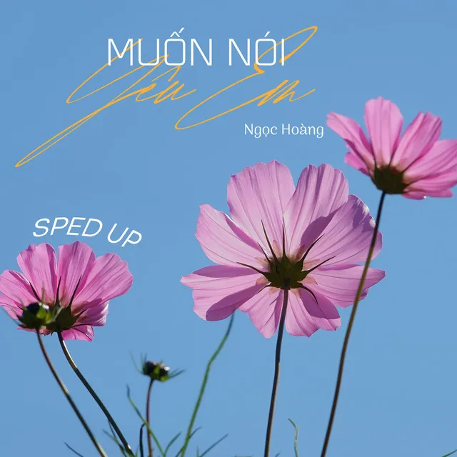 Muốn Nói Yêu Em (Sped Up)