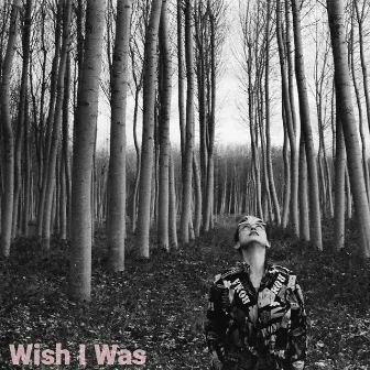 Wish I Was by Sasha & the Bear