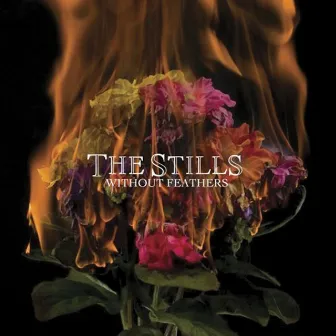 Without Feathers by The Stills