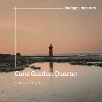 Como A Aguia by Cane Garden Quartet