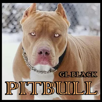 PITBULL by GL BLACK 555