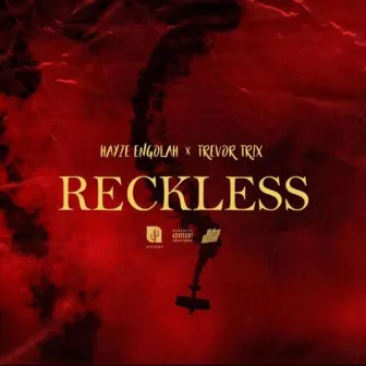 Reckless by Hayze Engola