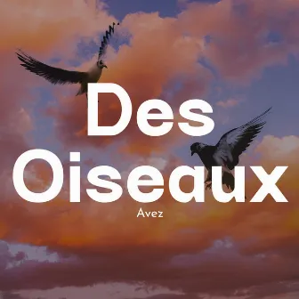 Des Oiseaux by Avez