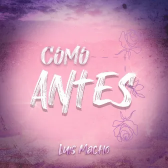 Como Antes by Sensei Musica