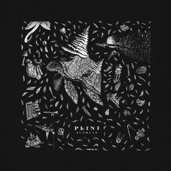 Sunhead by Plini