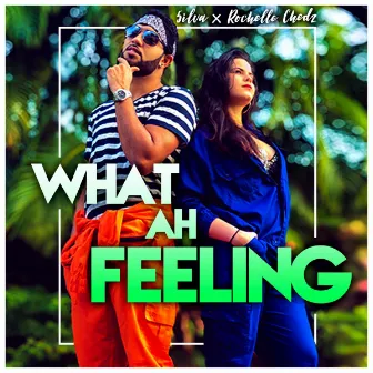 What Ah Feeling by Rochelle Chedz