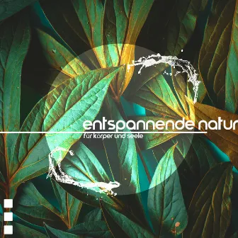 Entspannende Natur für Körper und Seele by Mental Healing Consort