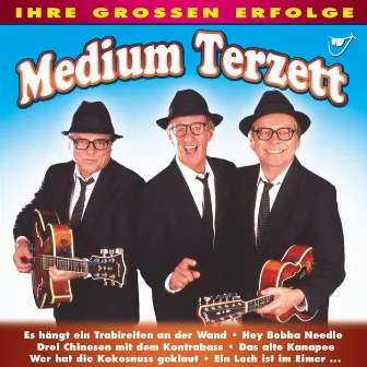 Ihre grossen Erfolge by Medium-Terzett