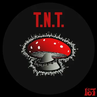 T.N.T. by Torgull