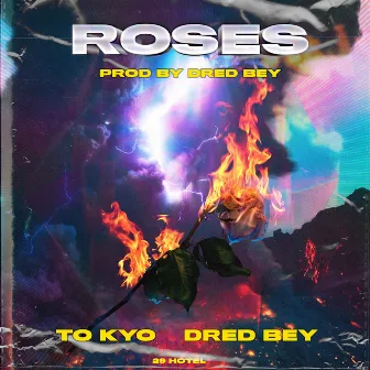 Roses by DRED BEY