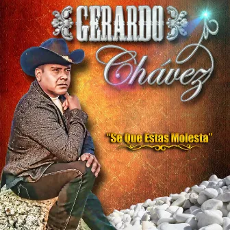 Se Que Estas Molesta - Single by Gerardo Chávez