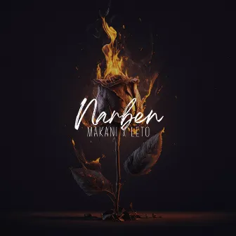 NARBEN by Leto