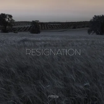 Resignation by Amsy