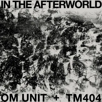 In The Afterworld by TM404